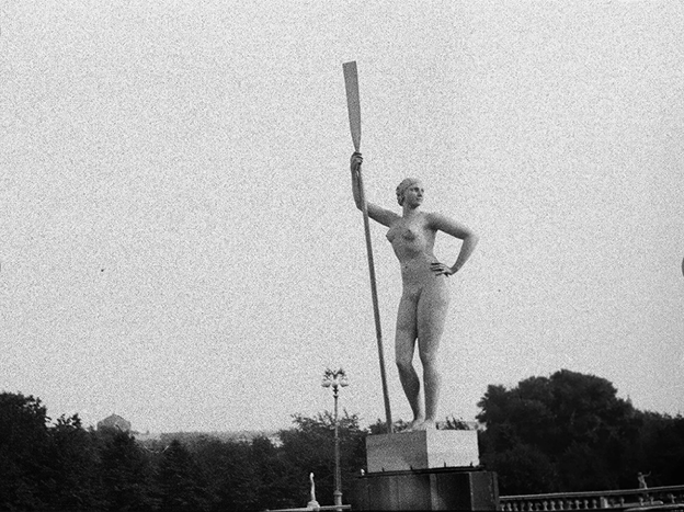 ДСВ 003